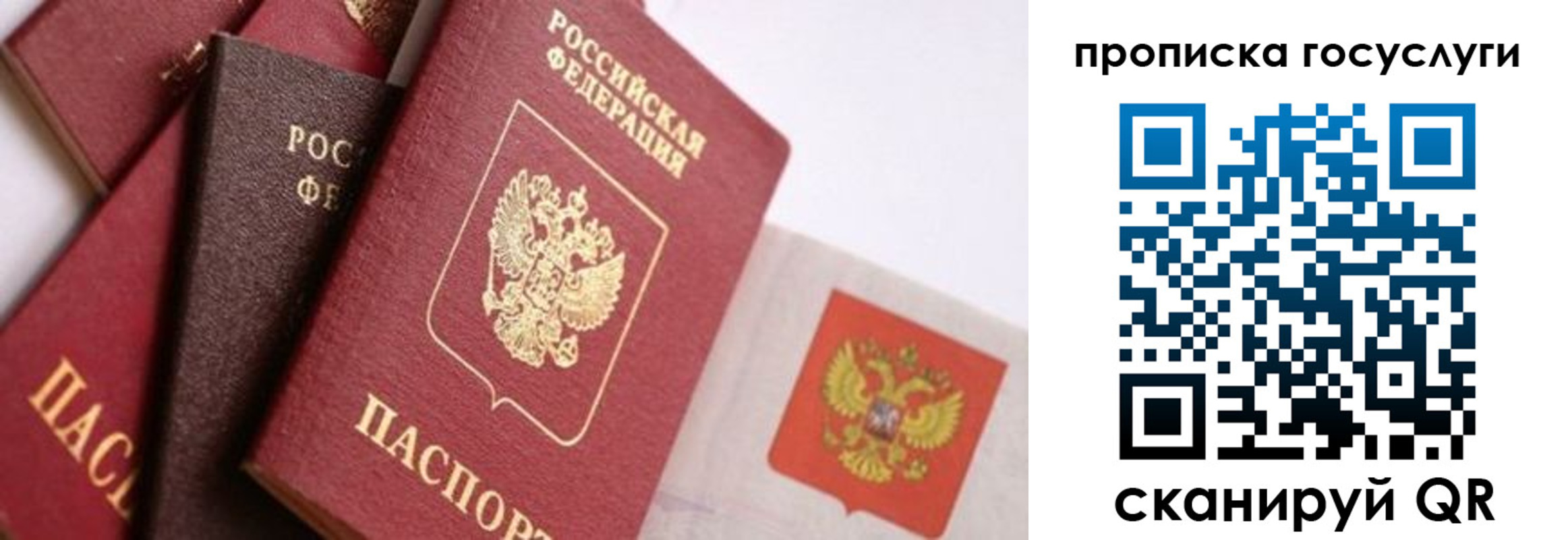 прописка законно в Семикаракорске